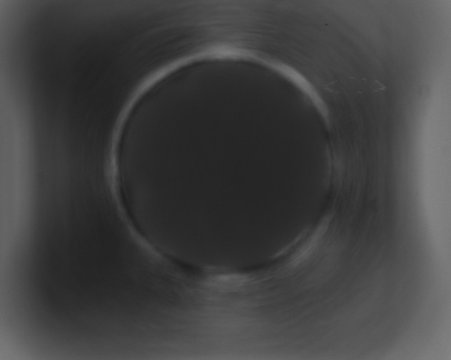 X0000100891335200807081033