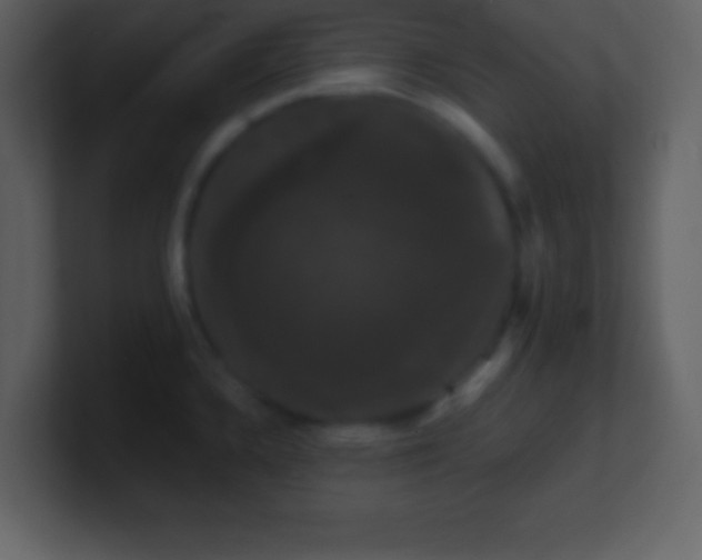 X0000100891336200807081033