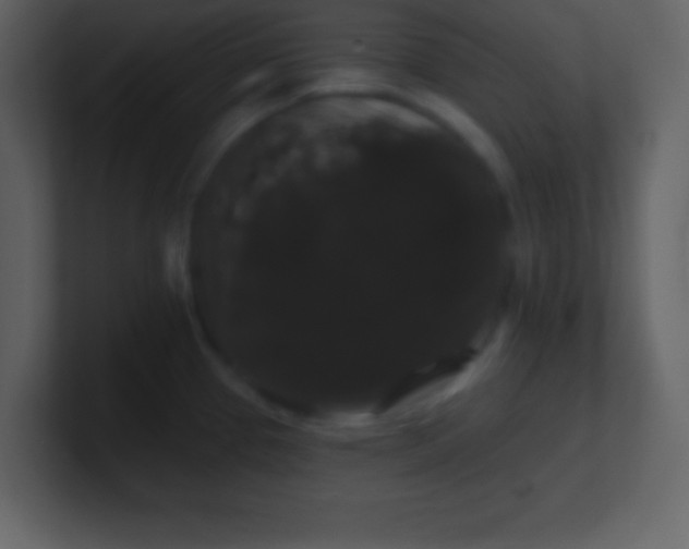 X0000100891337200807081033