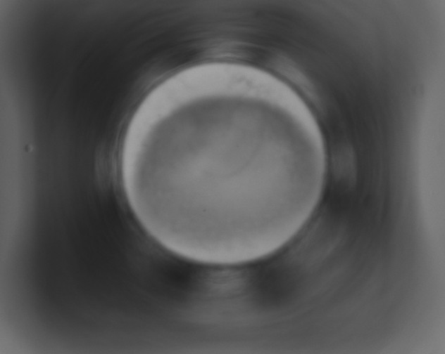 X0000100891338200807081033