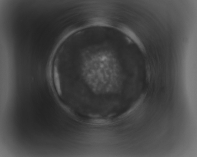 X0000100891339200807081033