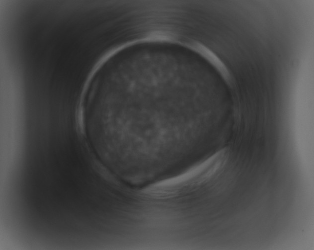 X0000100891340200807081033
