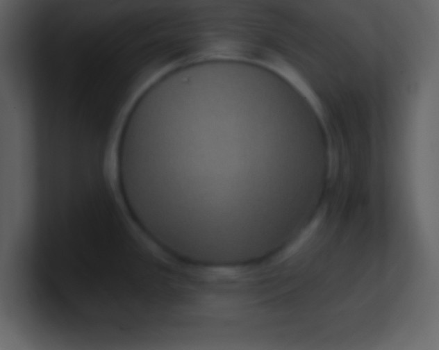 X0000100891341200807081033