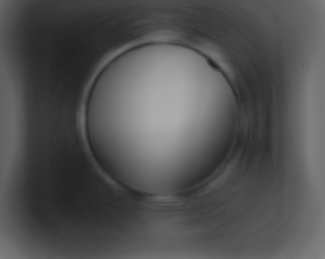 X0000100891343200807081033