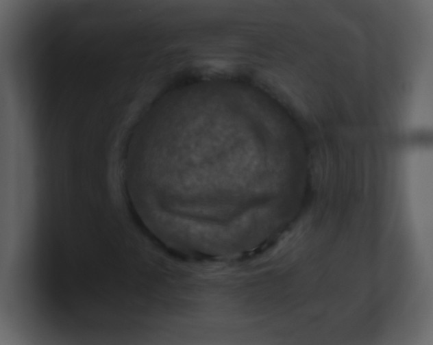 X0000100891345200807081032