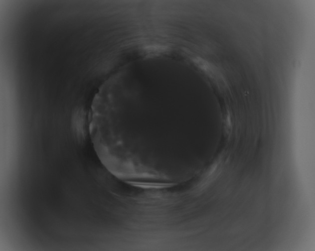 X0000100891346200807081032