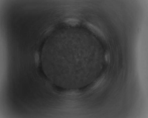 X0000100891347200807081032