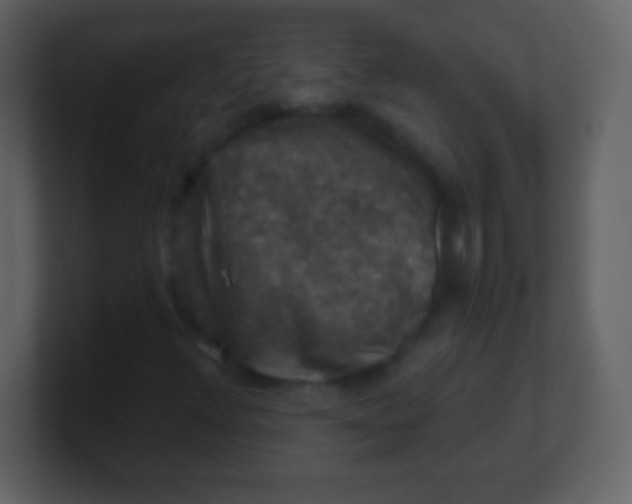 X0000100891348200807081032