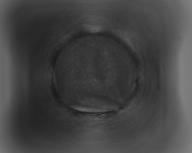 X0000100891349200807081032