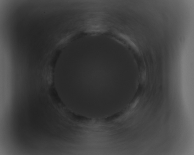 X0000100891350200807081032