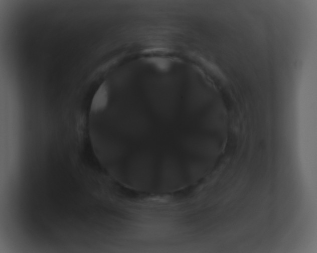 X0000100891351200807081032