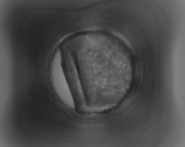X0000100891352200807081032