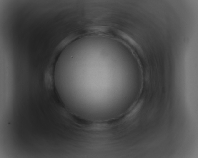 X0000100891354200807081032