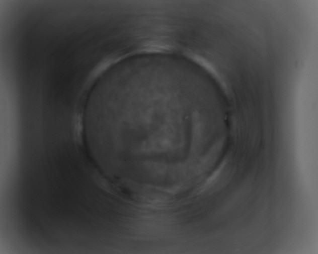 X0000100891355200807081032
