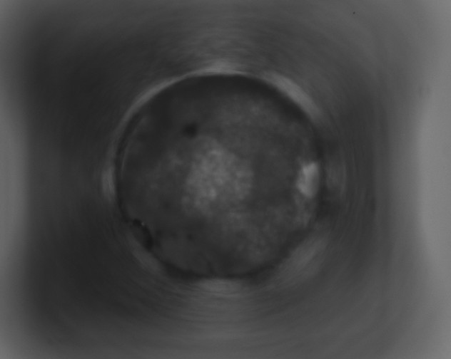 X0000100891356200807081032