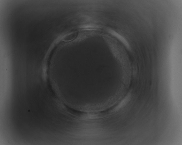 X0000100891357200807081032