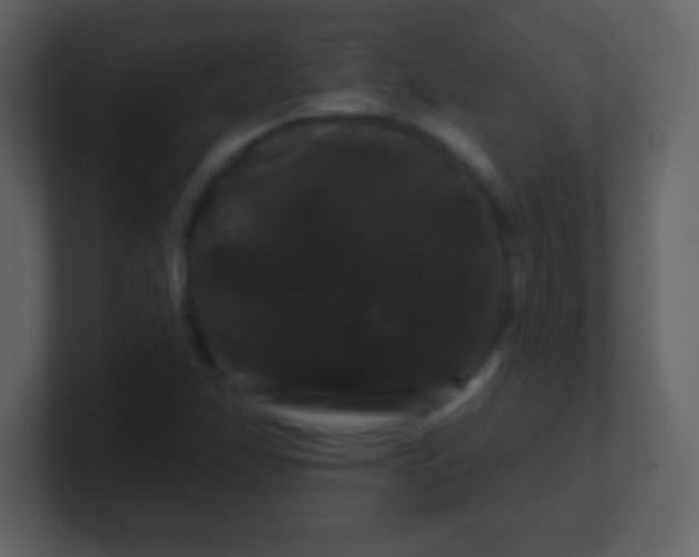 X0000100891358200807081032