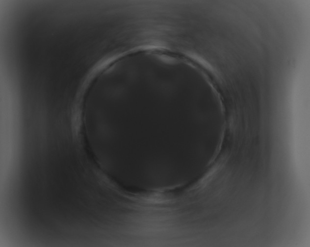 X0000100891359200807081032