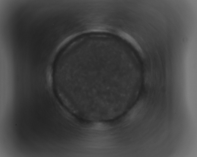 X0000100891360200807081032