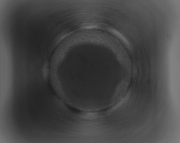 X0000100891361200807081032