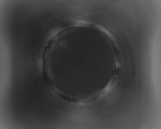 X0000100891362200807081032