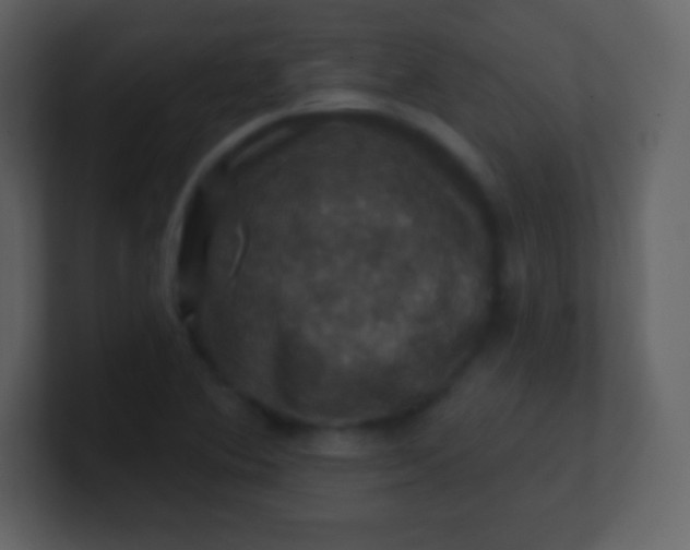 X0000100891364200807081032