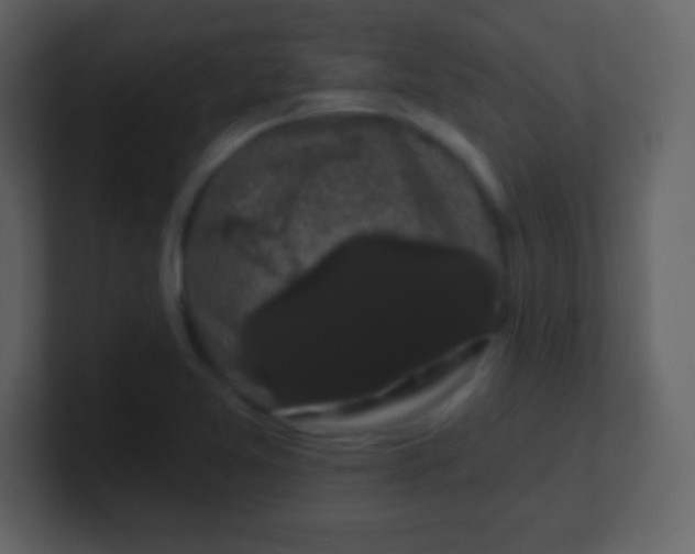 X0000100891365200807081032