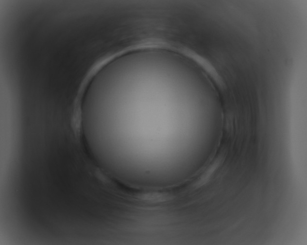 X0000100891366200807081032