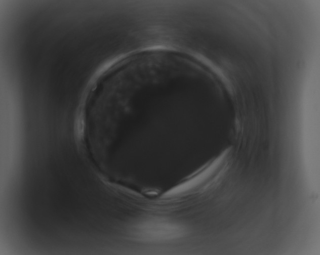 X0000100891367200807081032