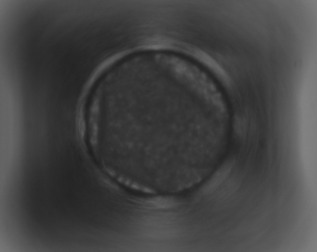 X0000100891368200807081032
