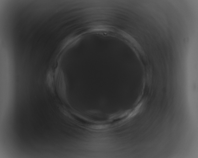 X0000100891369200807081032