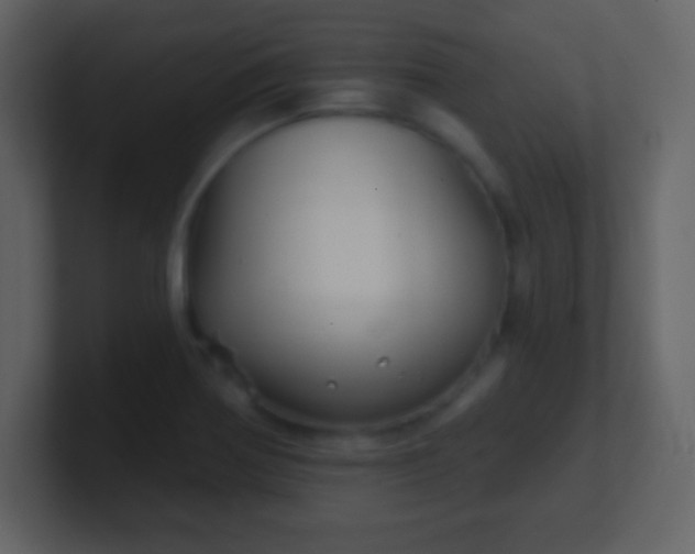 X0000100891370200807081032