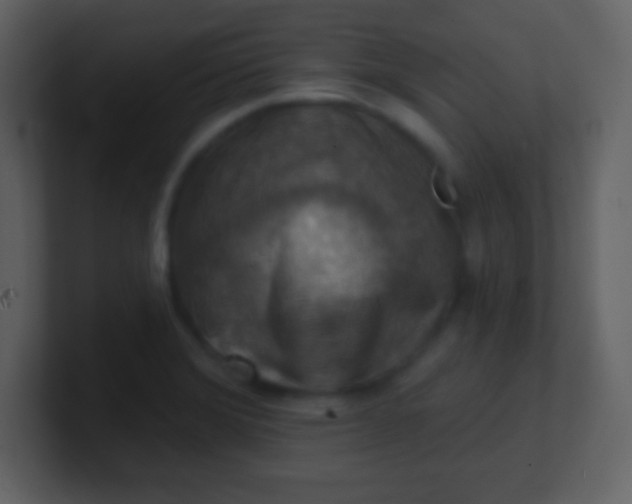 X0000100891372200807081032