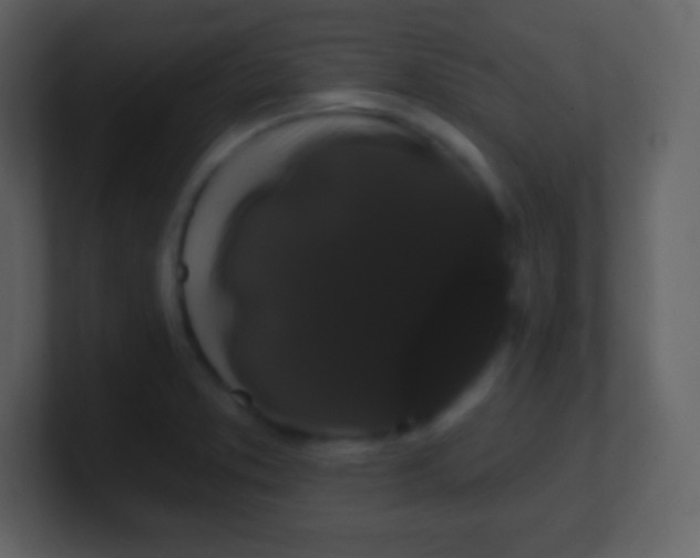 X0000100891373200807081032