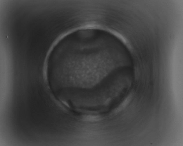 X0000100891374200807081032