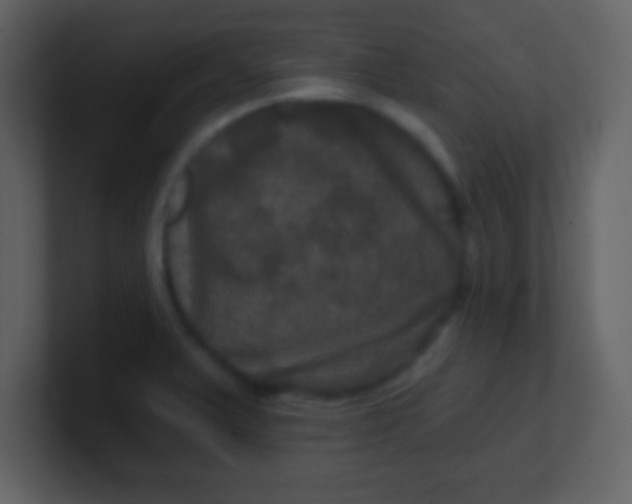 X0000100891375200807081032