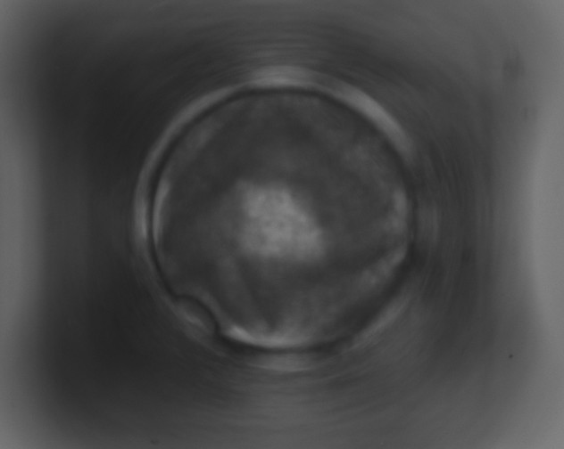 X0000100891376200807081032