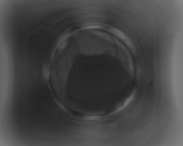 X0000100891377200807081032