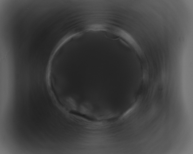 X0000100891378200807081032