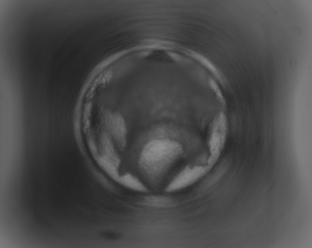 X0000100891379200807081032