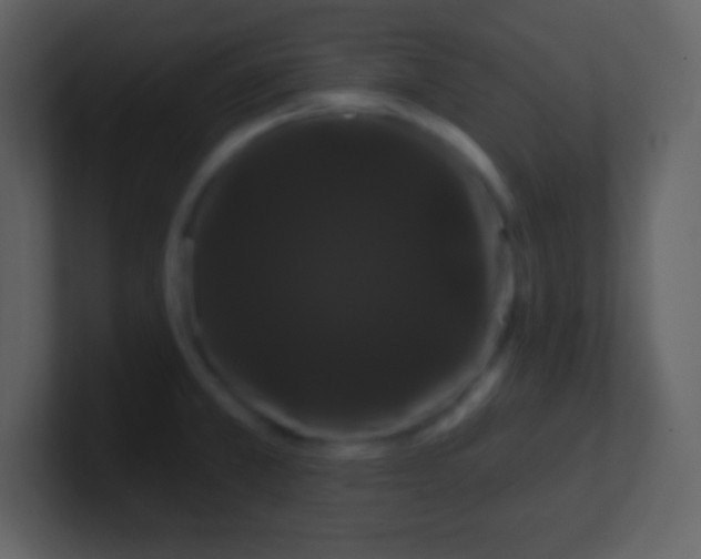 X0000100891381200807081031