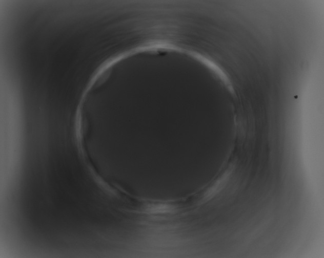 X0000100891382200807081031