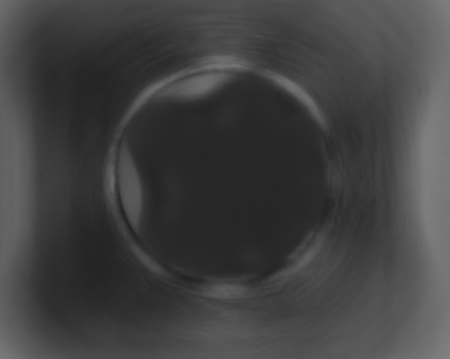 X0000100891383200807081031
