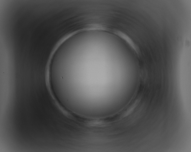 X0000100891387200807081031