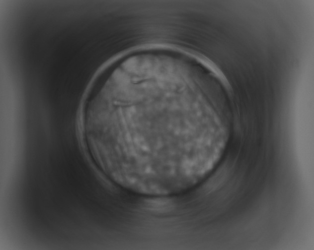 X0000100891388200807081031