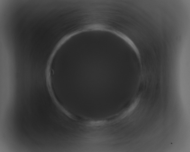 X0000100891389200807081031
