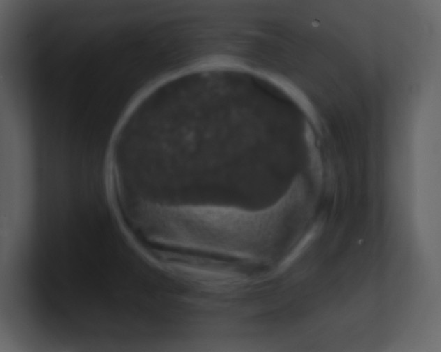X0000100891390200807081031