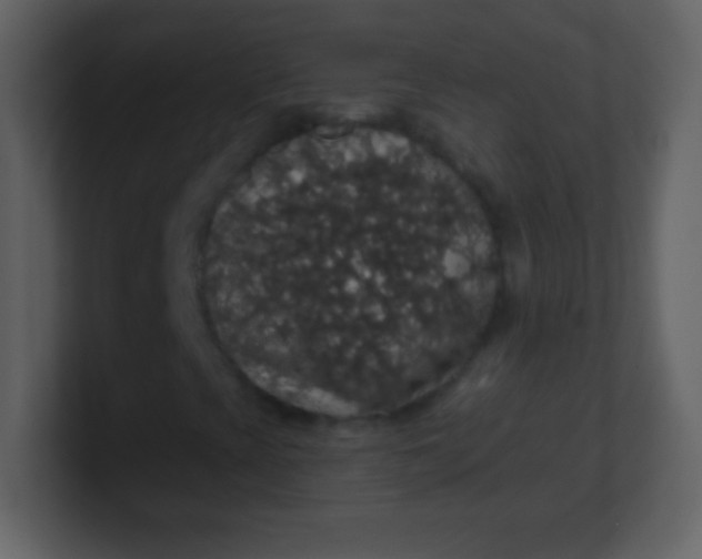 X0000100891393200807081031