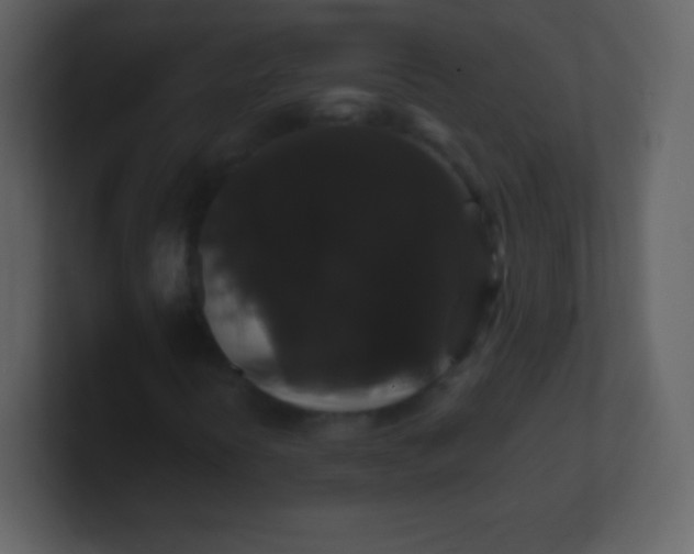 X0000100891394200807081031