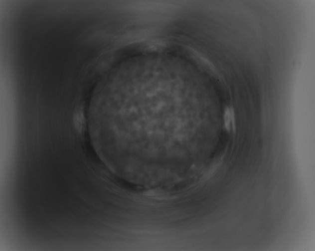 X0000100891395200807081031